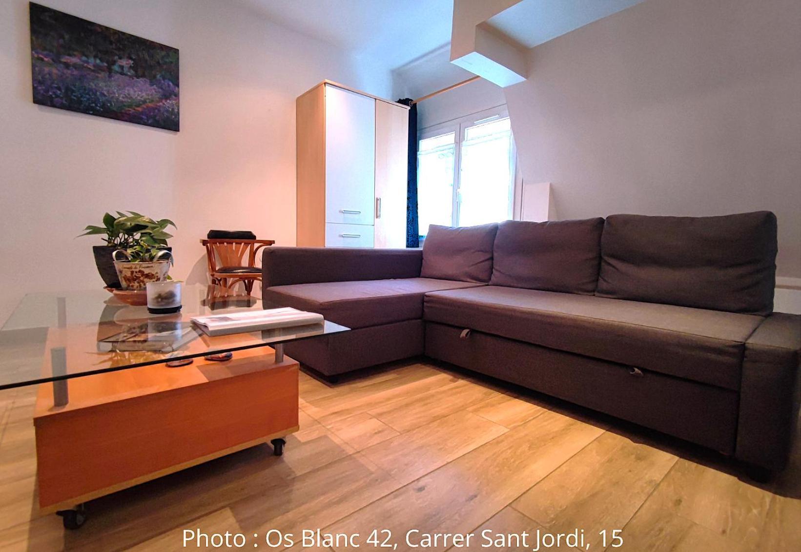Ac Apartaments Centre Pas De La Casa Rum bild